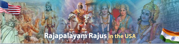 Rajapalayam Rajus in the USA